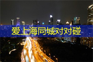 上海新茶资源：深入探索：上海的文艺复兴